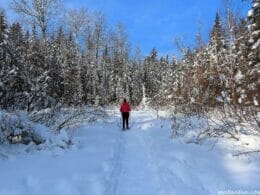 Snowshoeing the trails of Saint-Côme