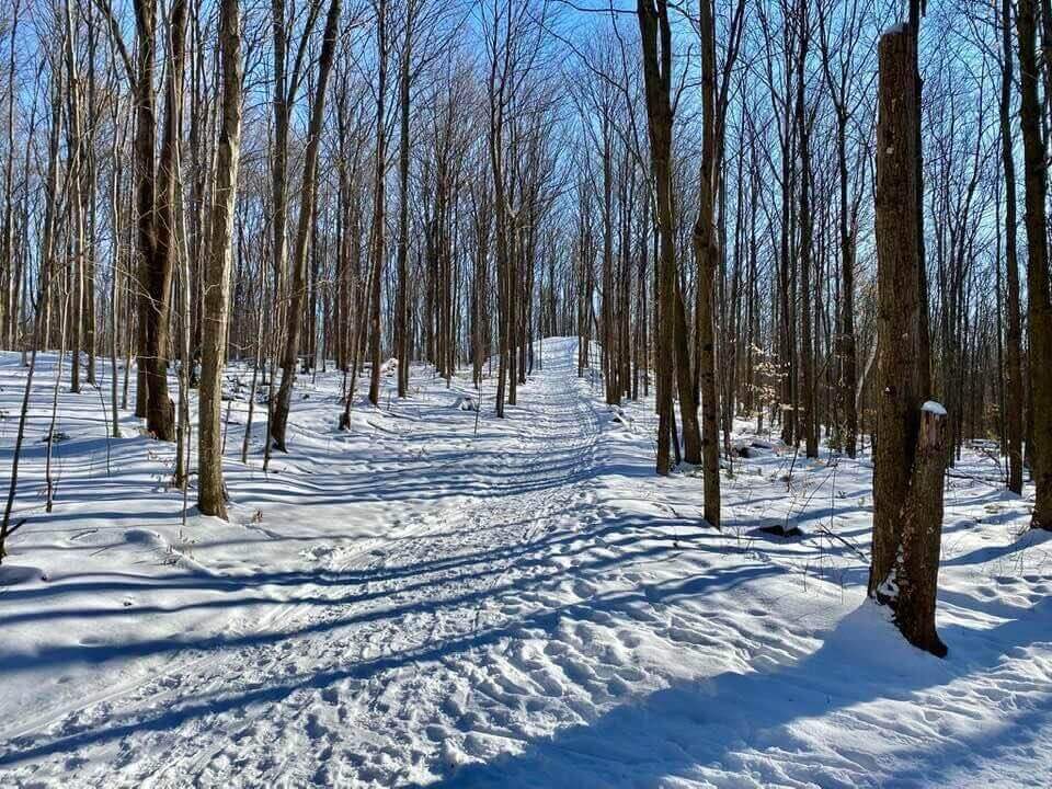 Sentier de marche en hiver à Le Gardeur