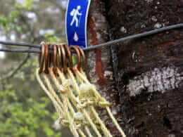 SIA Trail in Matapédia