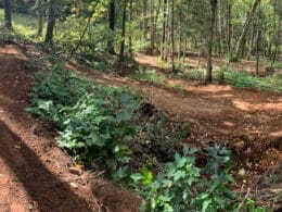 Mountain bike trail in the woods at Centre le Panoramique in Saguenay