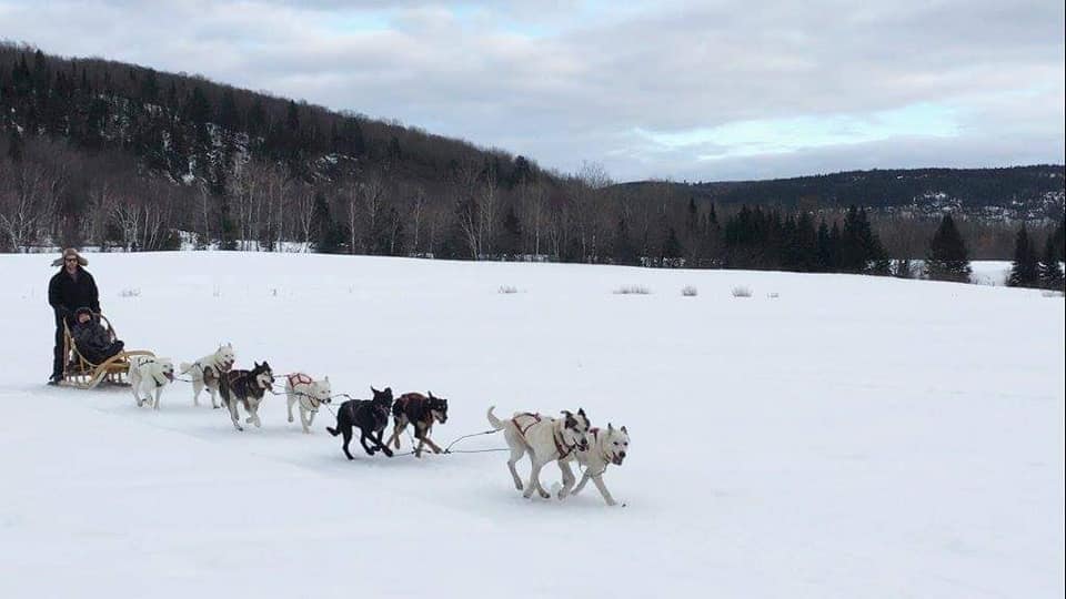 Dog sledding in Trois-Rives