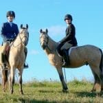 Cours d'équitation à Laval