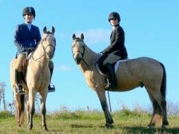 Riding lessons in Laval