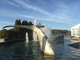 Whale - Chicoutimi's old port