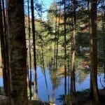 IMG_1234 &copy;&nbsp;tourlou911