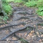 Trail. © tourlou911