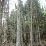 IMG_3245 © tourlou911