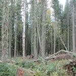 IMG_3246 © tourlou911