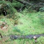 IMG_3247 © tourlou911