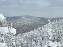 Round Top - Vue sur les montagnes du PENS 2