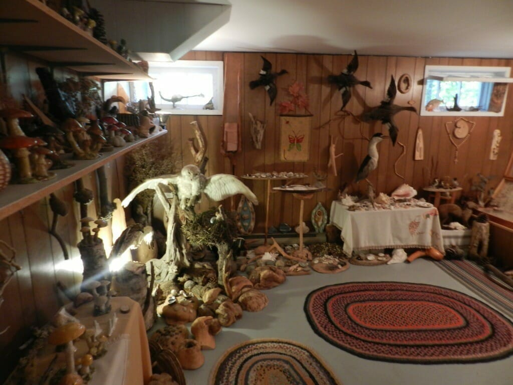 Superbe collection de champignons, d'animaux et plus.