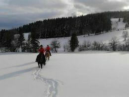 Snowy rides at the Vent du Sud equestrian center