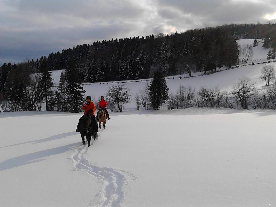 Snowy rides at the Vent du Sud equestrian center