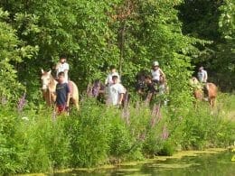 Introduction to horseback riding at the Auteuilloise farm in Laval