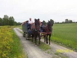 Sleigh ride in Laval