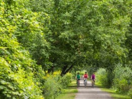 Cyclistes dans le parc national des Îles de Boucherville