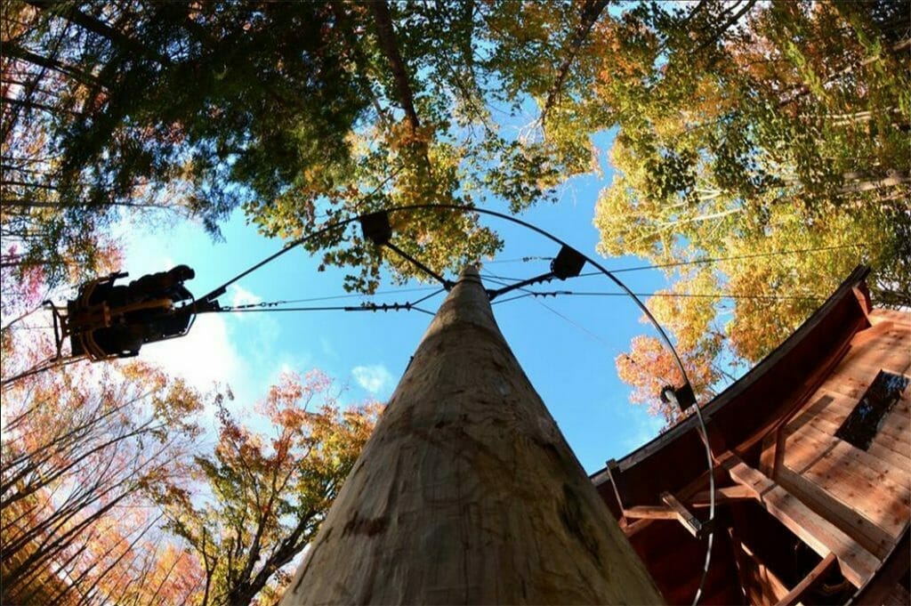 FlyingBike course in the trees