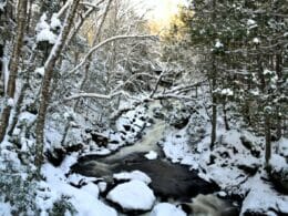 Cascades en hiver le long du sentier Iroquois