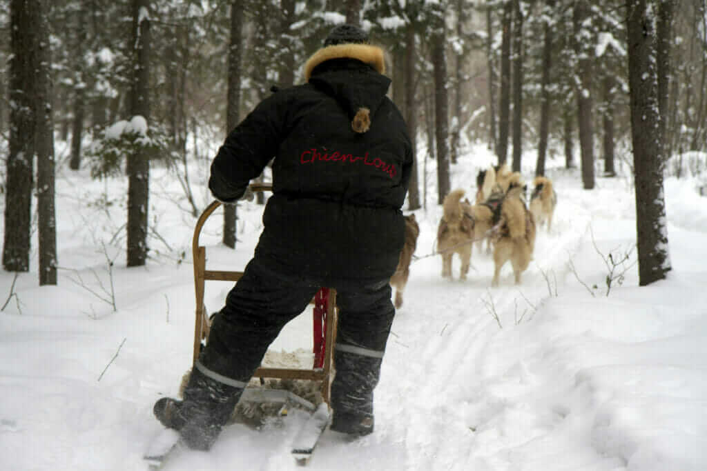 Traîneau à chiens au Chenil du Chien-Loup