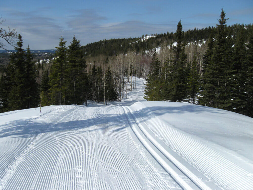 Piste de ski de fond tracée classique et patin aux Sentiers de la rivière Amédée