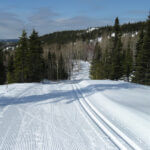Piste de ski de fond tracée classique et patin aux Sentiers de la rivière Amédée
