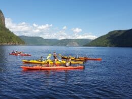 Excursion en kayak sur le Fjord du Saguenay avec Saguenay Aventures