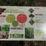 Panneau sur la flore printanière au parc écologique Godefroy