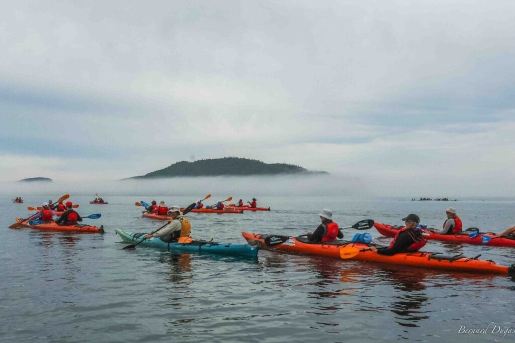 Kayaks de mer au parc national du Bic avec Aventures Archipel