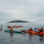 Kayaks de mer au parc national du Bic avec Aventures Archipel