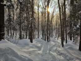 Sentier en hiver au parc de la Coulée à Prévost