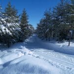 Piste de ski de fond tracée double au centre de plein air les Sources Joyeuses de La Malbaie
