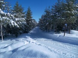 Piste de ski de fond tracée double au centre de plein air les Sources Joyeuses de La Malbaie