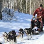Traîneau à chiens - Alaskan du Nord