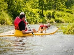 Kayak avec chien sur la rivière Missiquoi à Mansonville