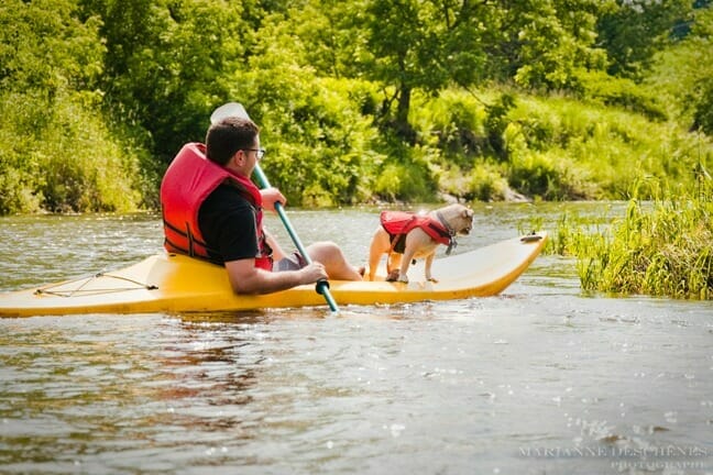 Kayak avec chien sur la rivière Missiquoi à Mansonville