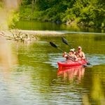 Kayak tandem sur la rivière Missisquoi